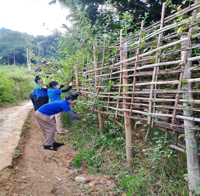 Ảnh có chứa ngoài trời, thực vật, bầu trời, trang phục

Nội dung do AI tạo ra có thể không chính xác.